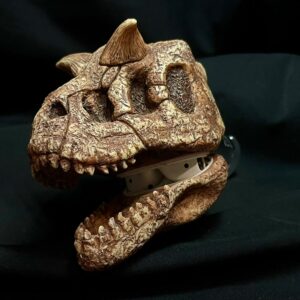 Сarnotaurus – Сase